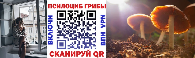 где можно купить наркотик  Новоалтайск  Псилоцибиновые грибы мухоморы 