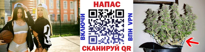 купить наркоту  Новоалтайск  Шишки марихуана ГИДРОПОН 